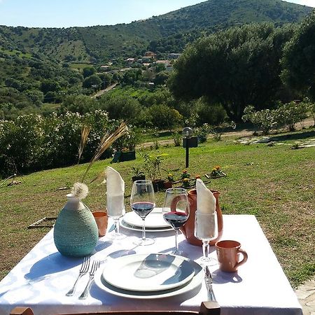 Villa Agriturismo Sorres Budoni Exterior foto